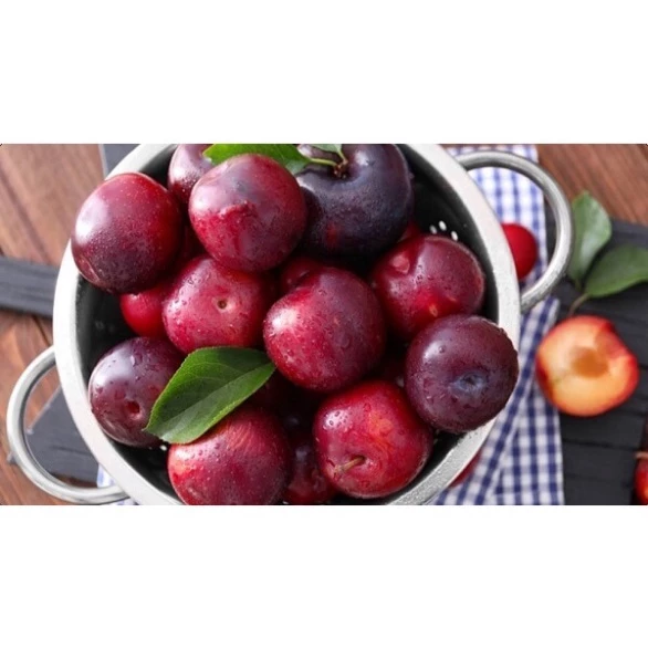 Mận Hậu_thumbnail_1