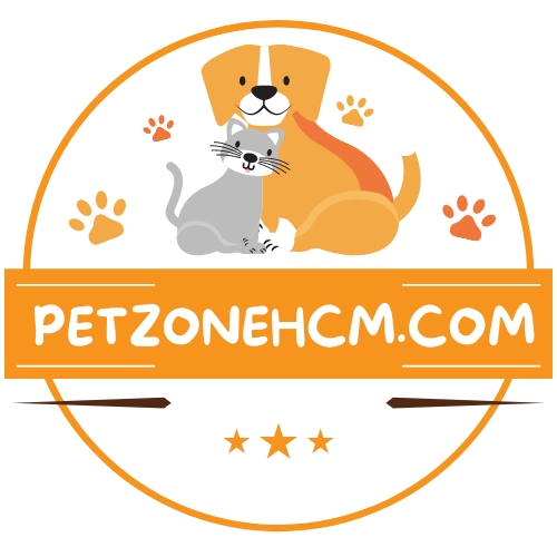 logo cam (1)