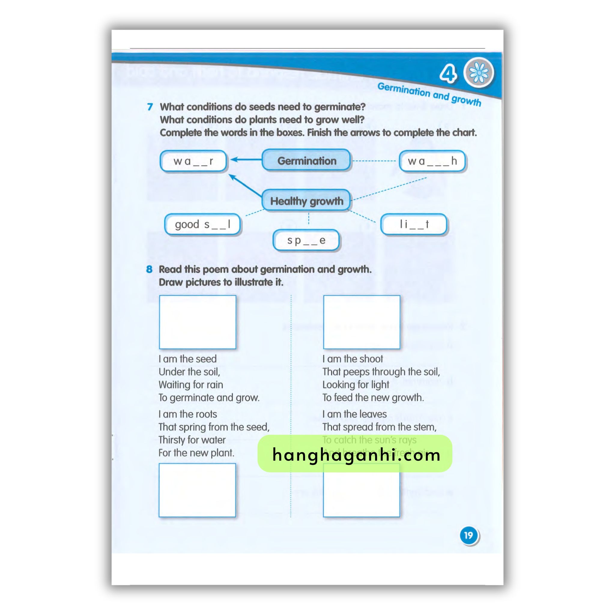 Macmillan Science 3 Workbook_thumbnail_15