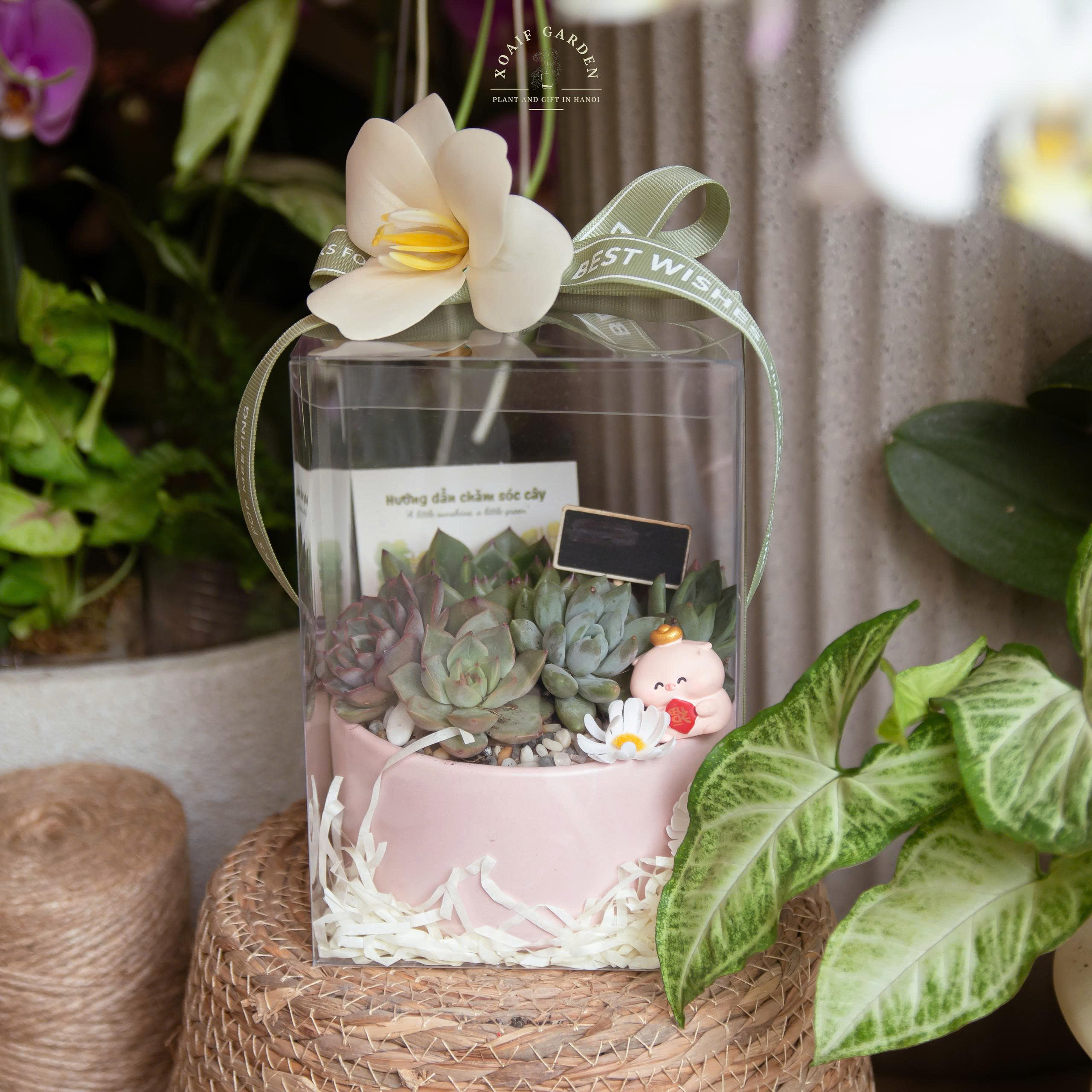 HỘP QUÀ SEN ĐÁ MIX SIZE M