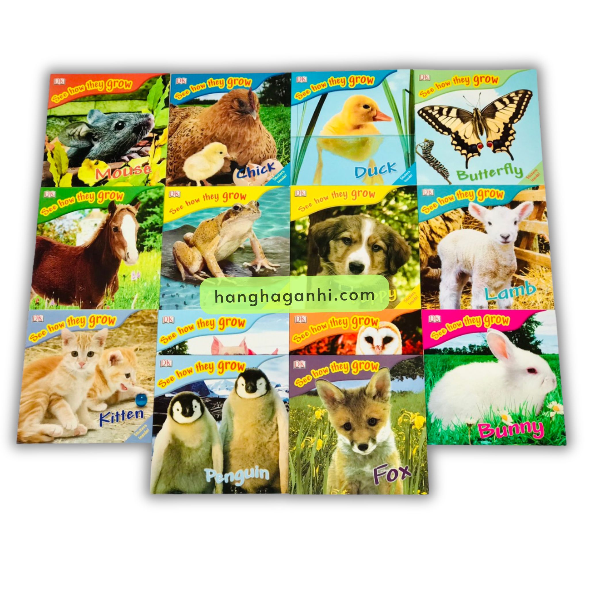 Bộ See How They Grow – Truyện về vòng đời các con vật – 14 Cuốn ( Kèm File Nghe)_thumbnail_2