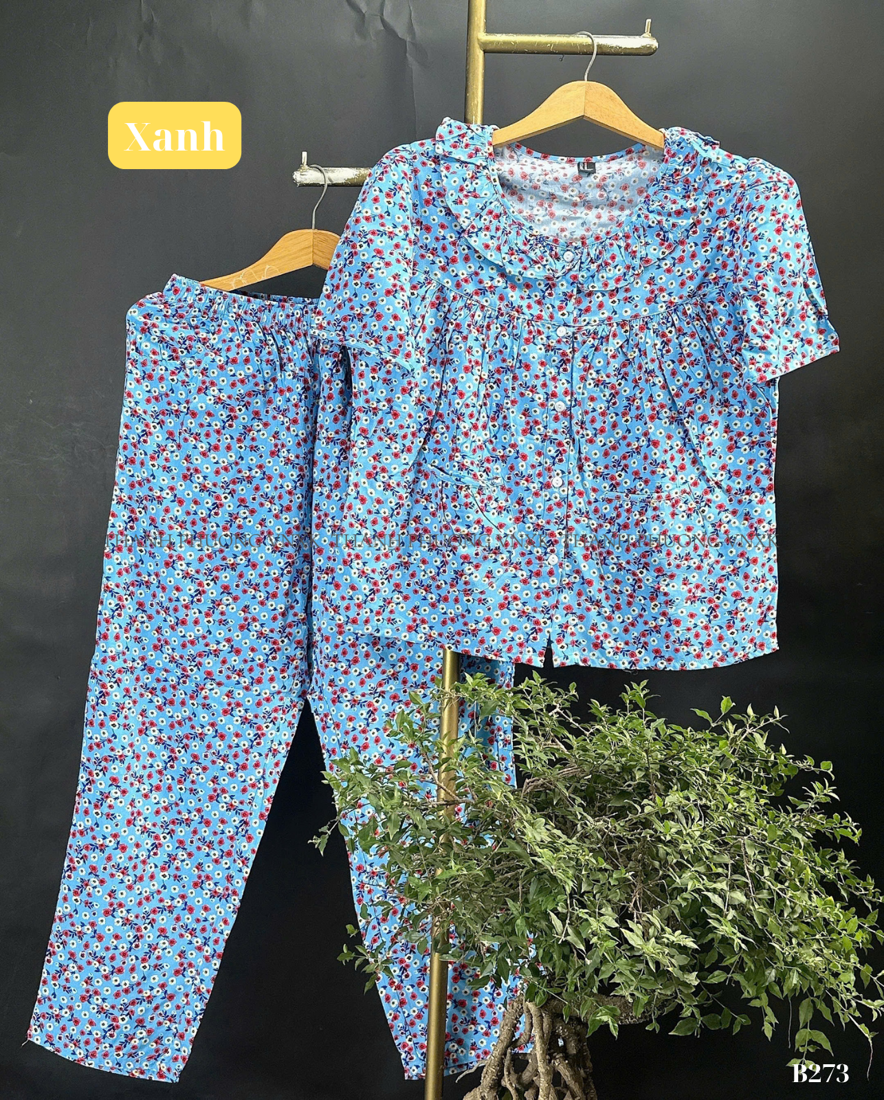 B273 BO NU F21 A (L5-5)_thumbnail_6