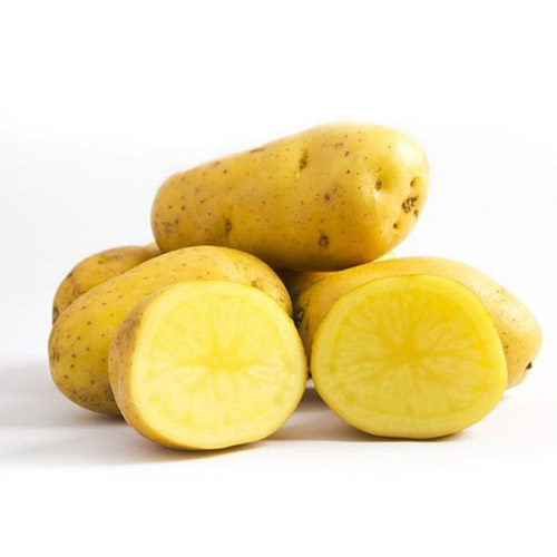 Khoai Tây Củ To Loại 2