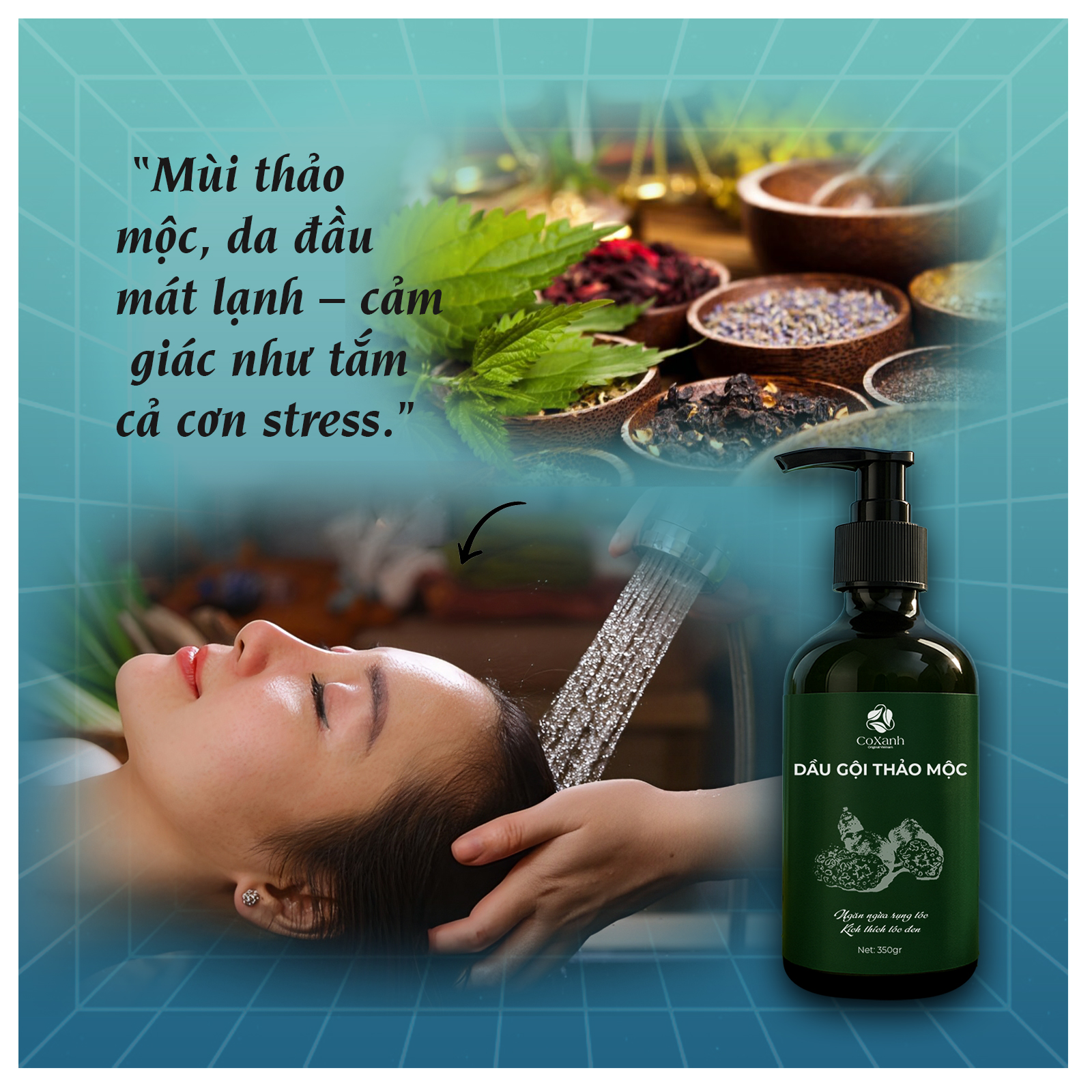 Dầu Gội Trị Gàu Cho Nữ – Sạch Gàu, Giảm Rụng, Tóc Vẫn Mềm Mượt