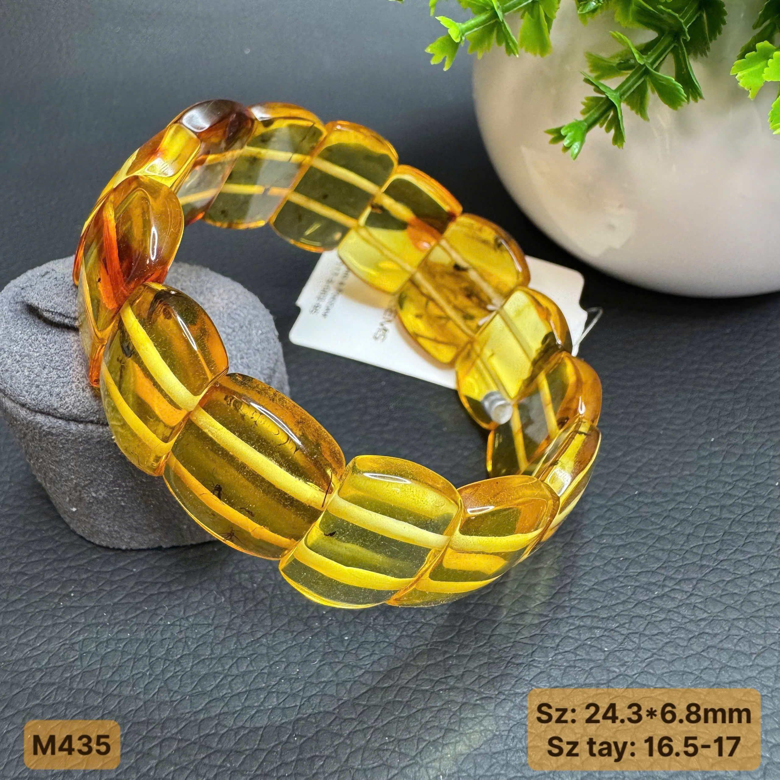 Lắc Bản Côn Trùng - M435