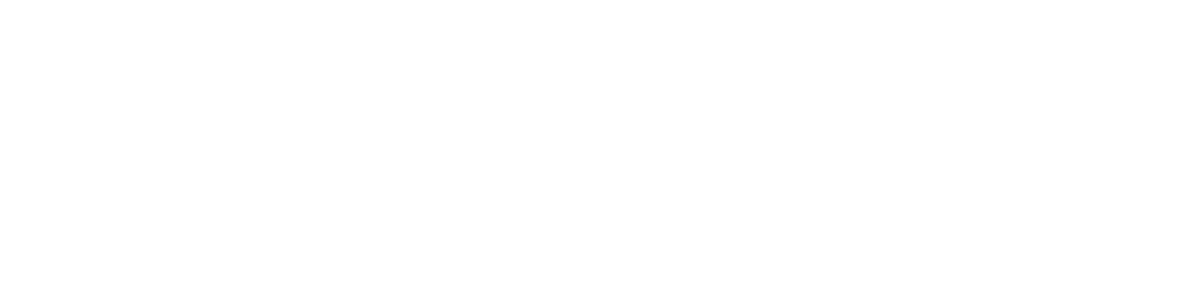 Web Logo