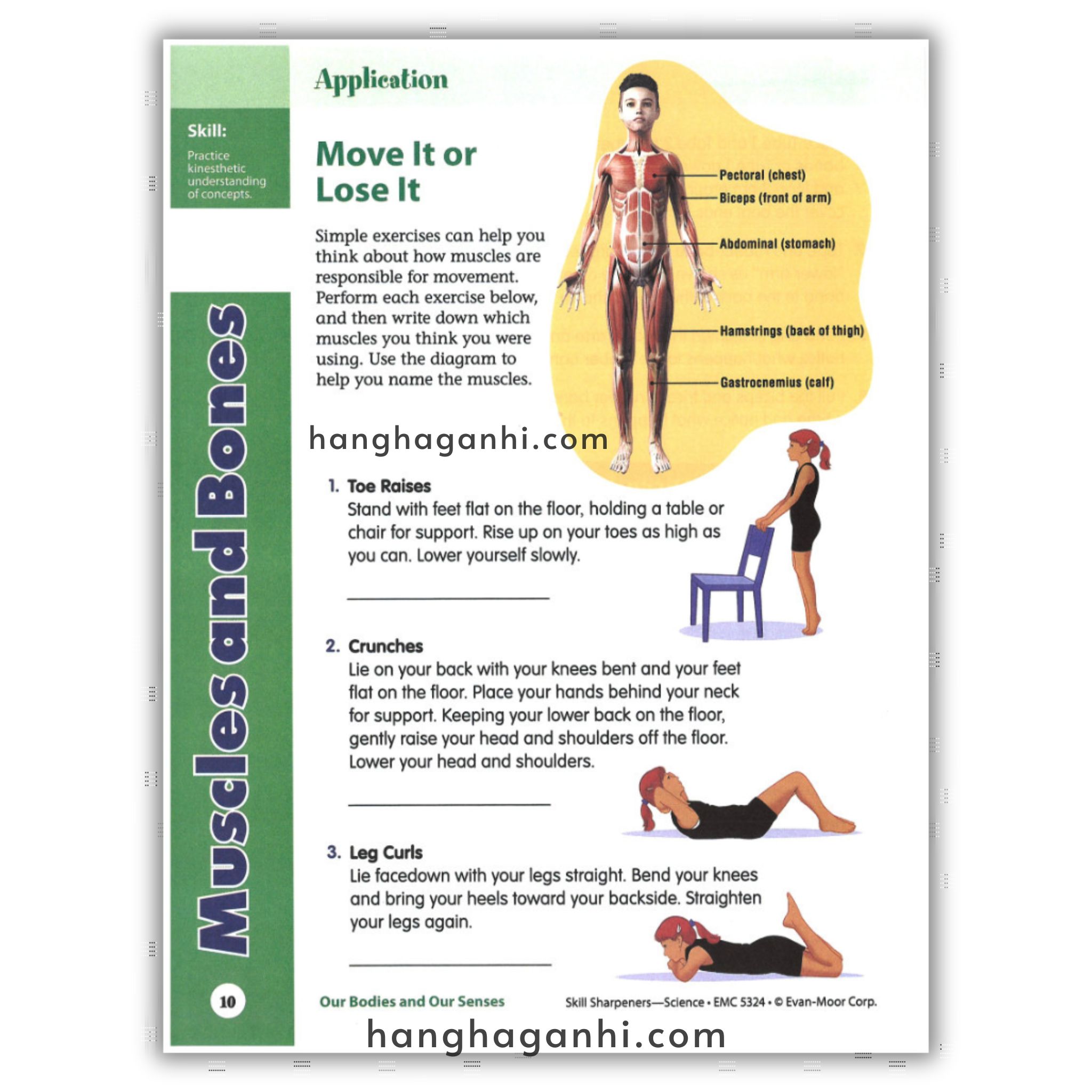 Skill Sharpeners Science Grade 4_thumbnail_4