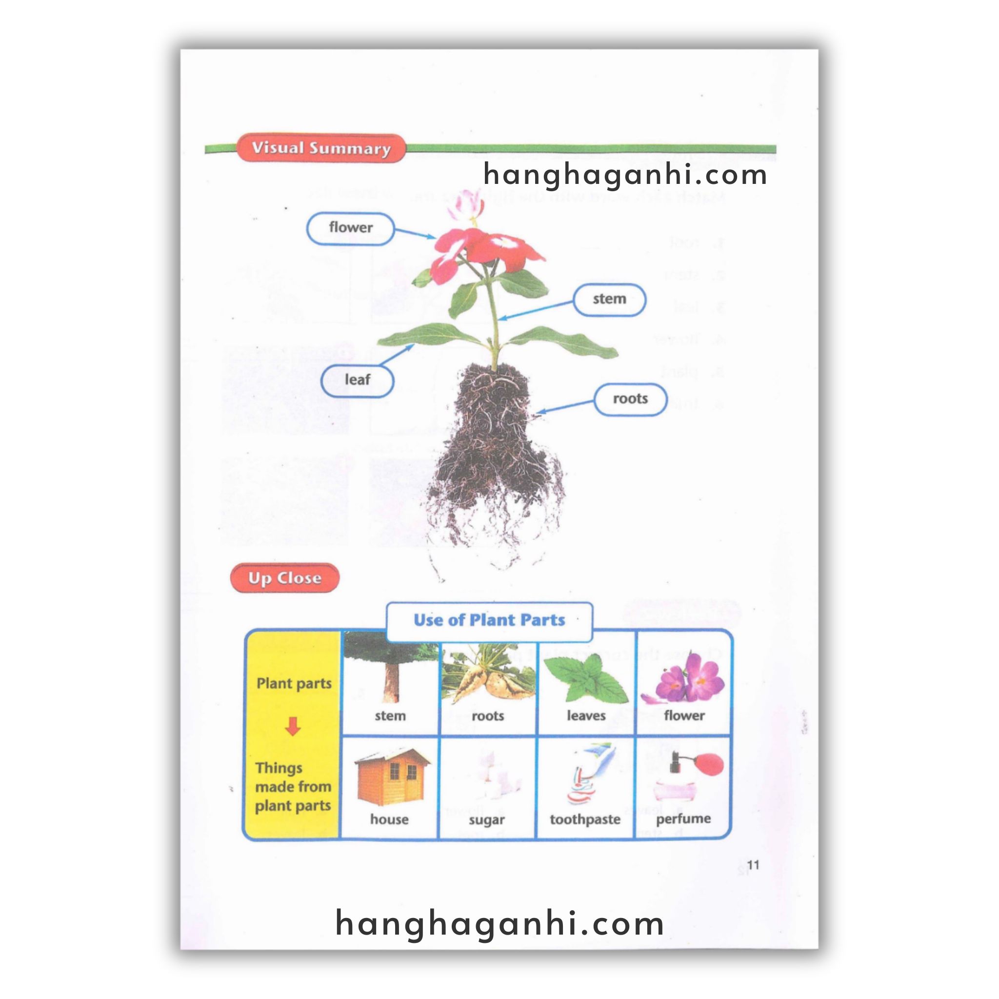 American Text Book Reading – Trọn Bộ 4 Grade 8 cuốn ( Kèm File nghe và Video)_thumbnail_7