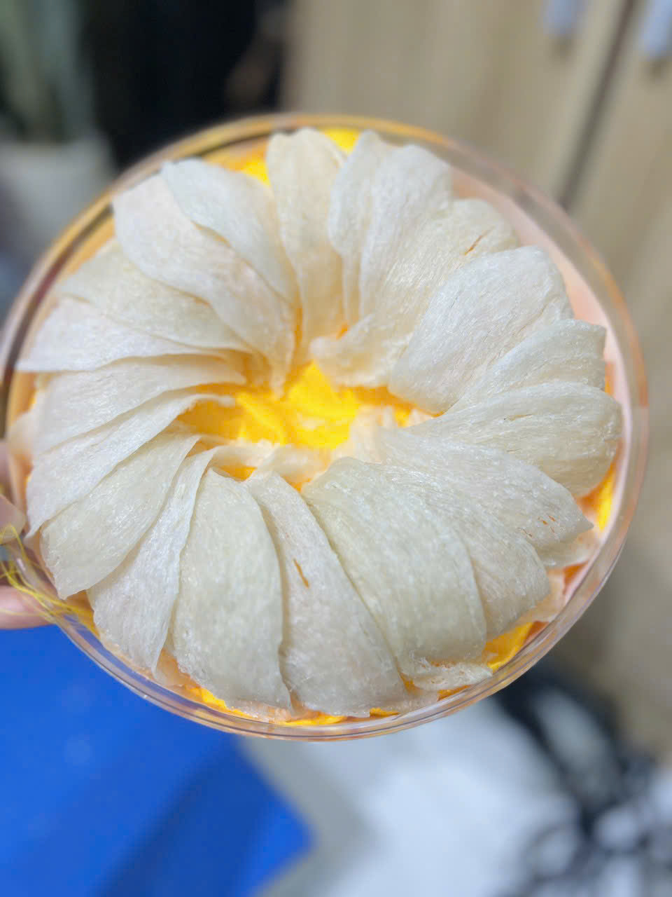 TỔ YẾN- MÓN QUÀ TỪ THIÊN NHIÊN VÀ HÀNH TRÌNH HỒI SINH SỨC KHỎ