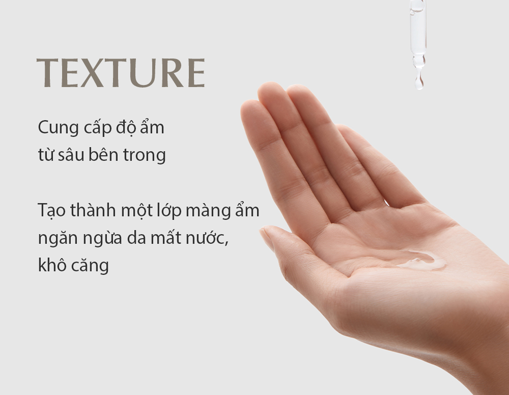 Tinh chất thuần chay Elravie Zero Hyalmide Ampoule 50ml_thumbnail_9