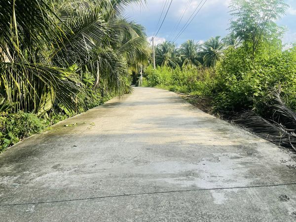 ĐN04 - Đất nền thổ cư xã Mỹ Phong, Tp Mỹ Tho_thumbnail_3