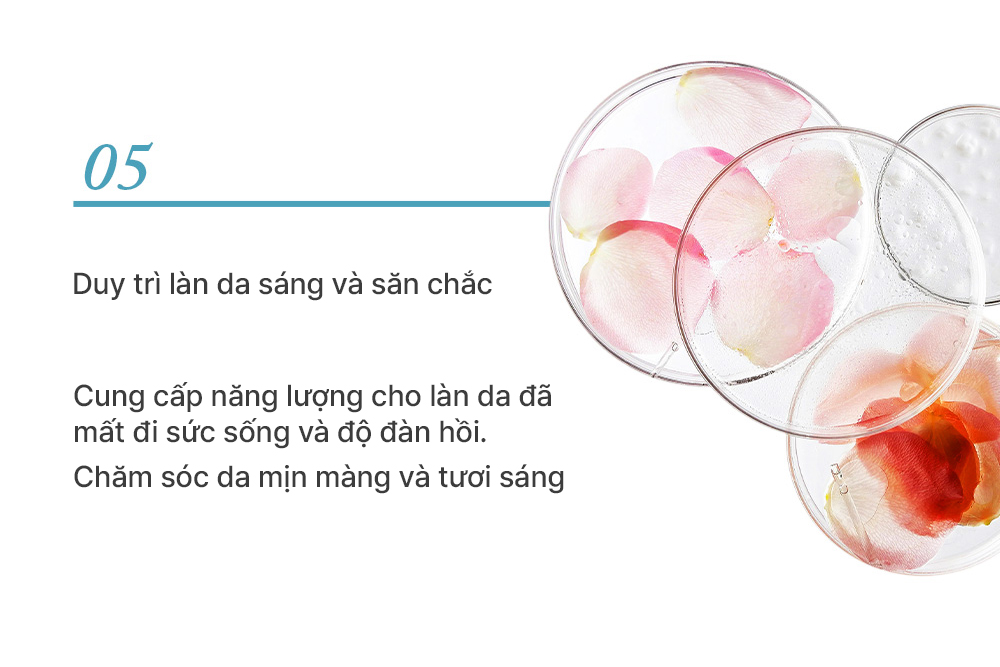 Kem Dưỡng Phục Hồi Sáng Da Cân Bằng Độ Ẩm Cung Cấp Dưỡng Chất Elravie Pro Ultra Firming Cream 50ml_thumbnail_6