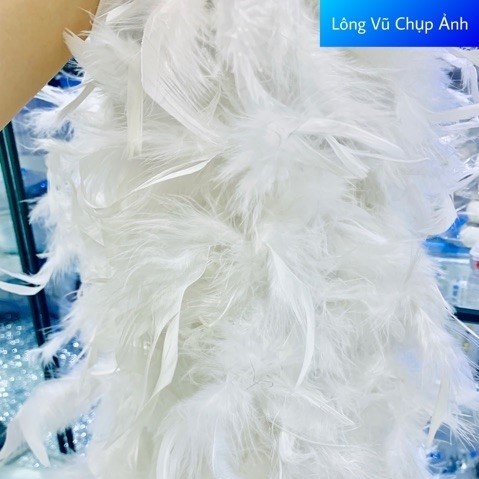 Dây lông vũ