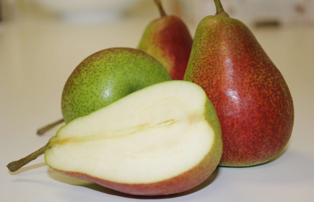 Lê Nam Phi_thumbnail_1