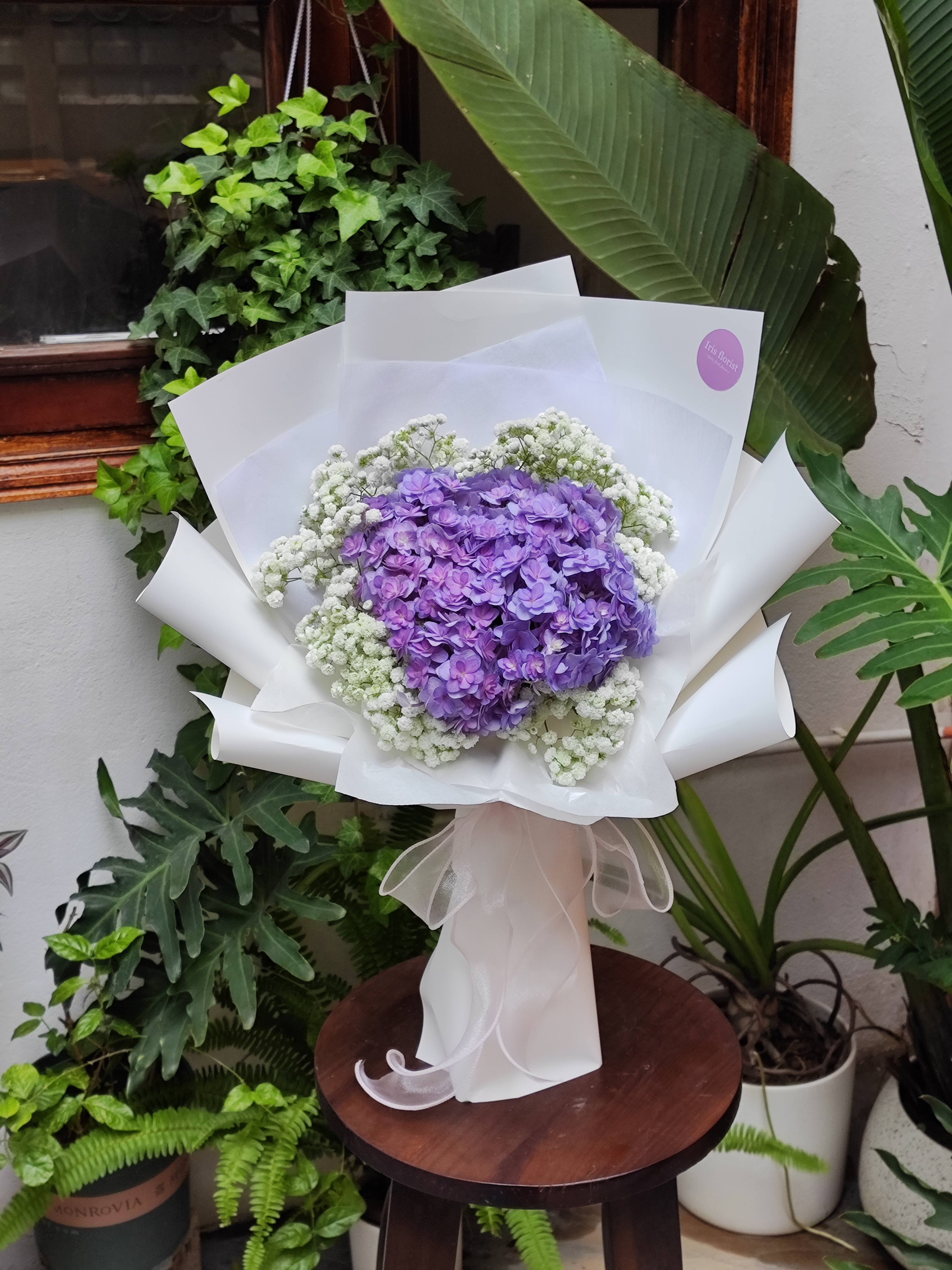 Tú cầu tím mix baby