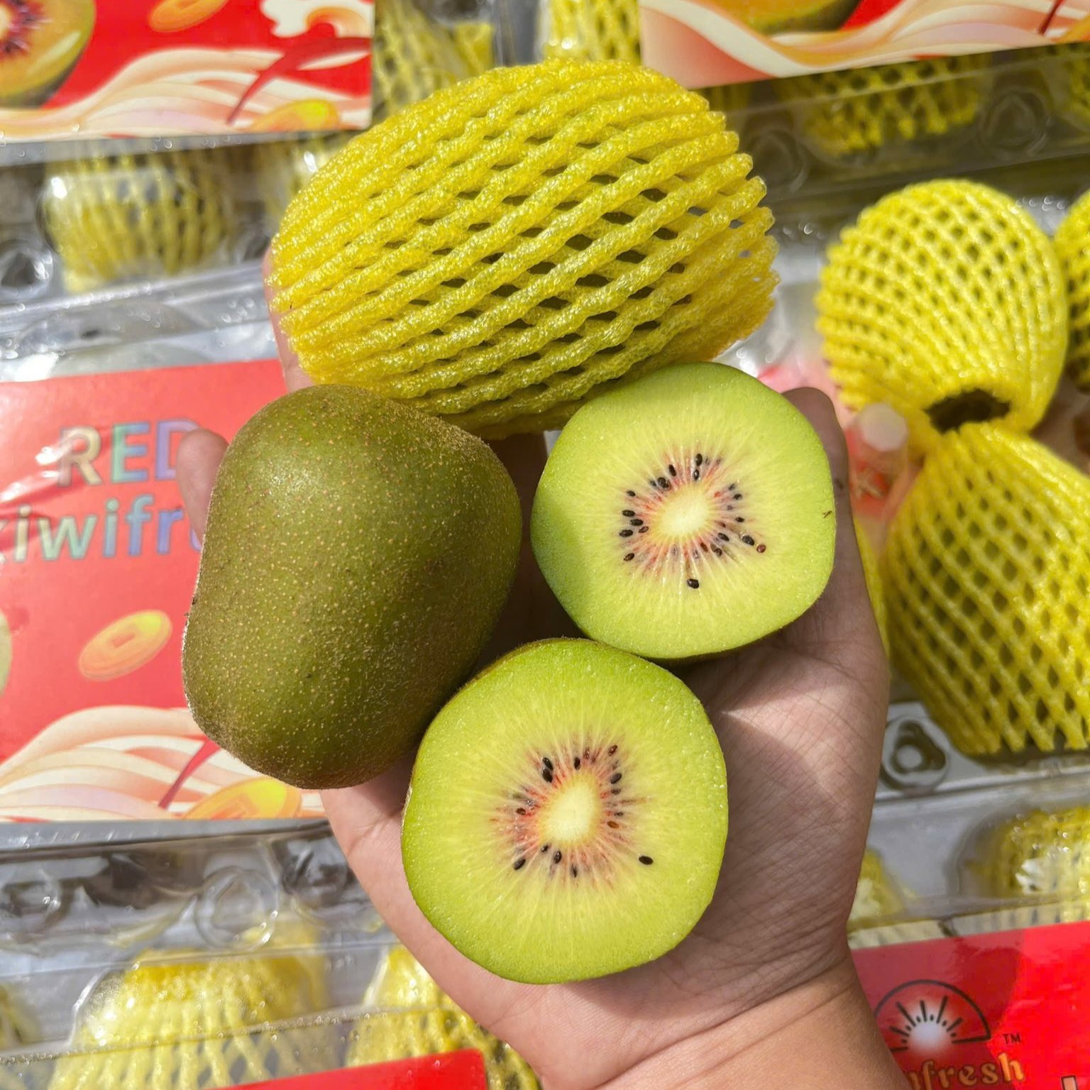 Kiwi Cầu Vòng (Kiwi Đỏ)_thumbnail_1