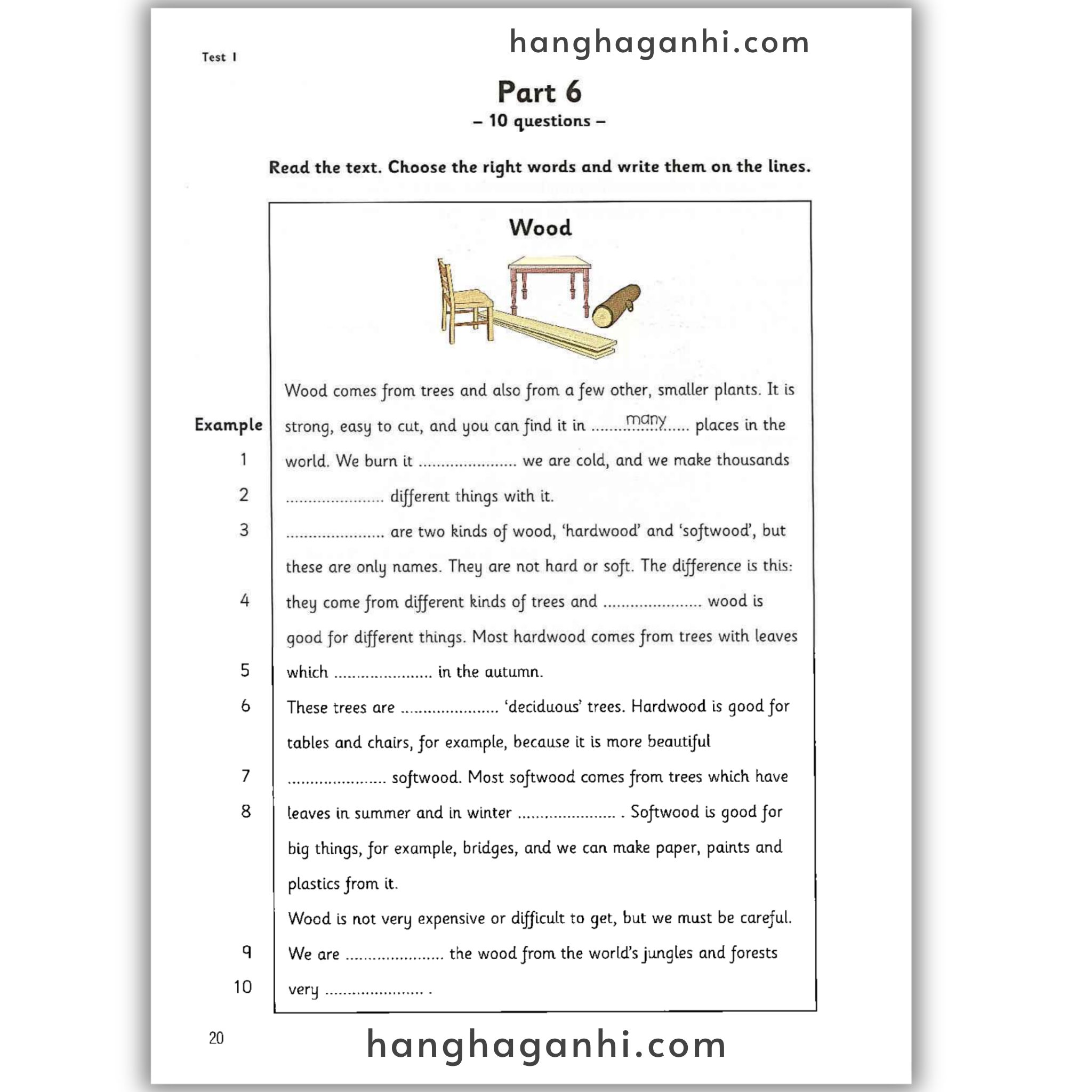 Sách Cambridge Young Learner English Tests Flyers 5_thumbnail_12