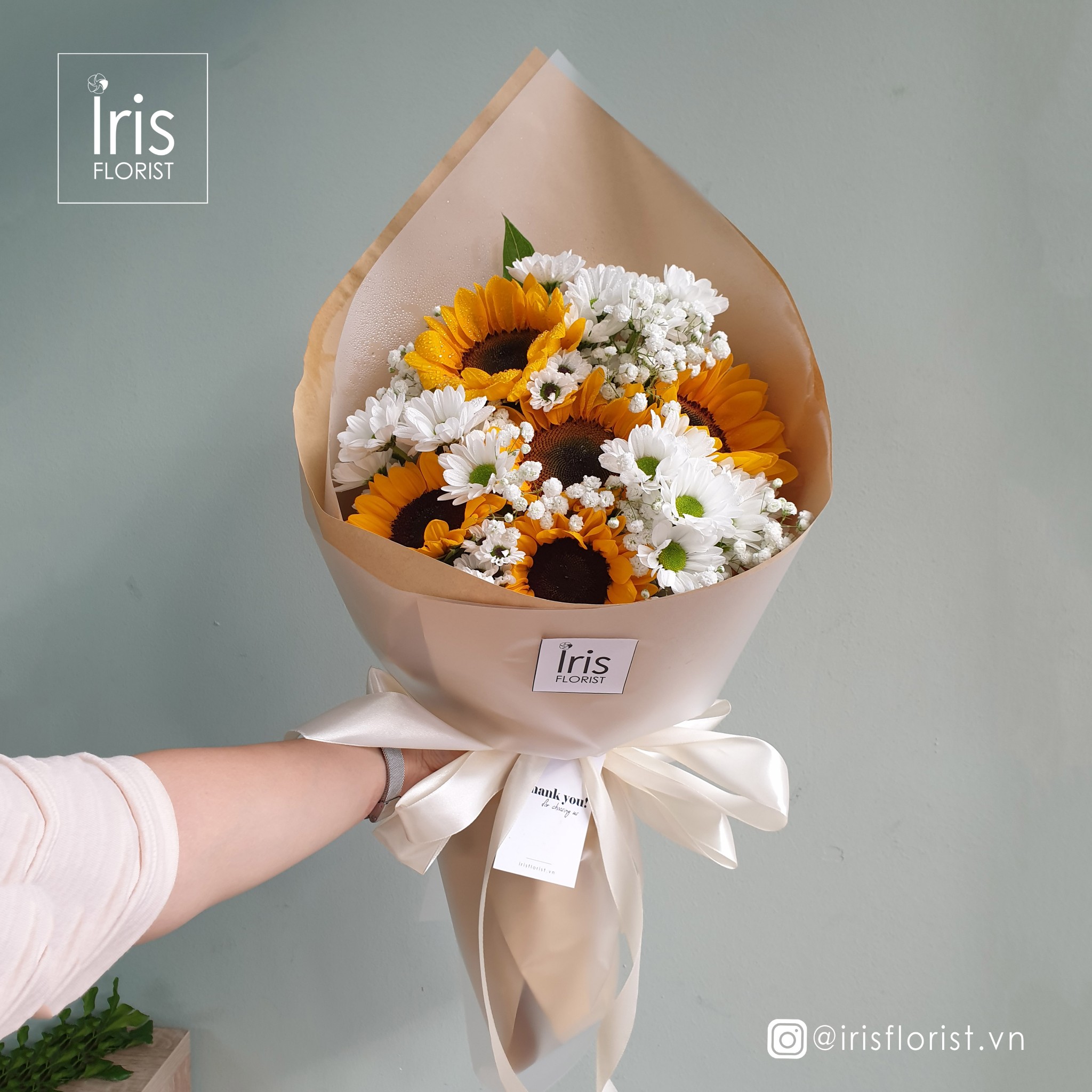 Hướng Dương Mix - 5B