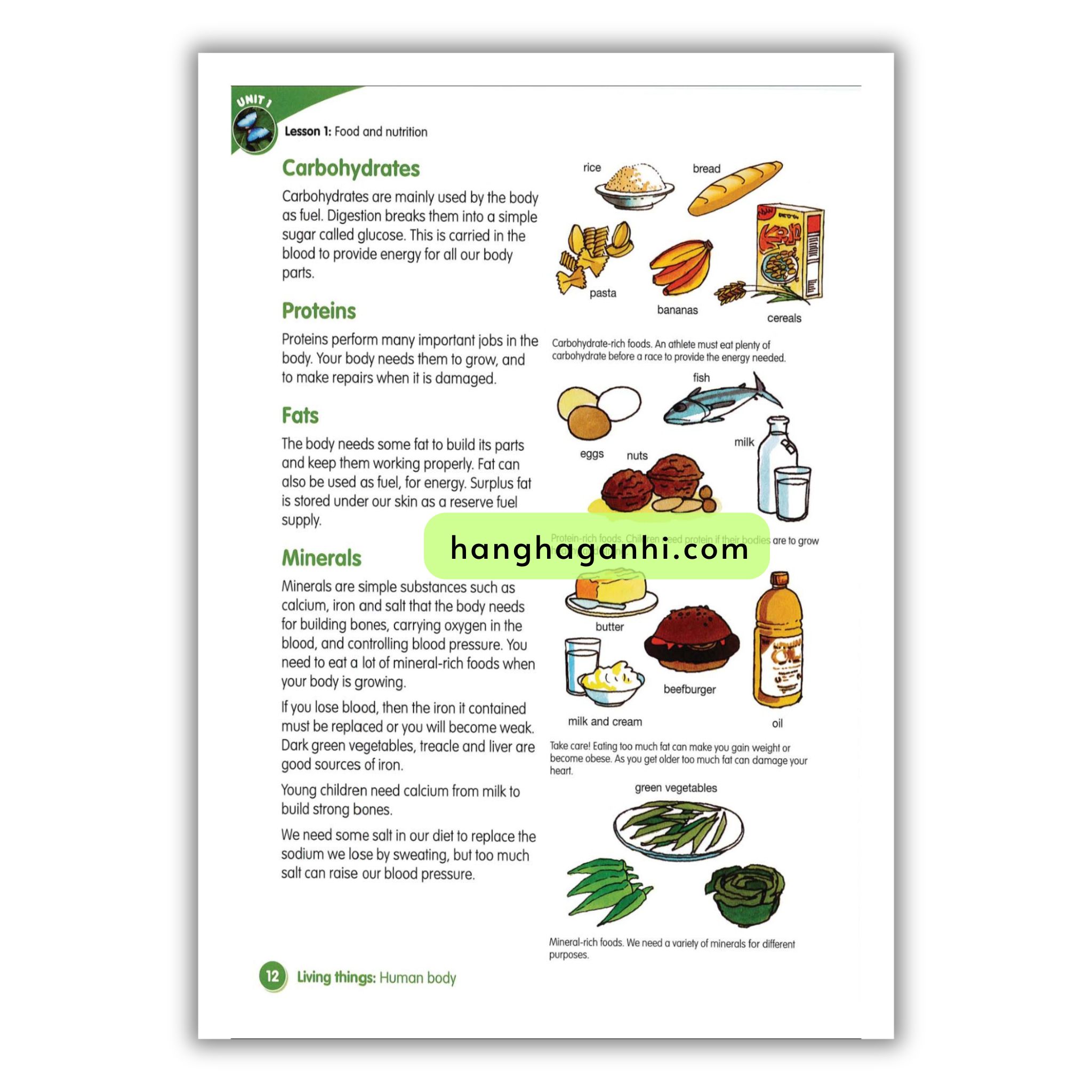 Macmillan Science 5 Pupil’s book_thumbnail_13