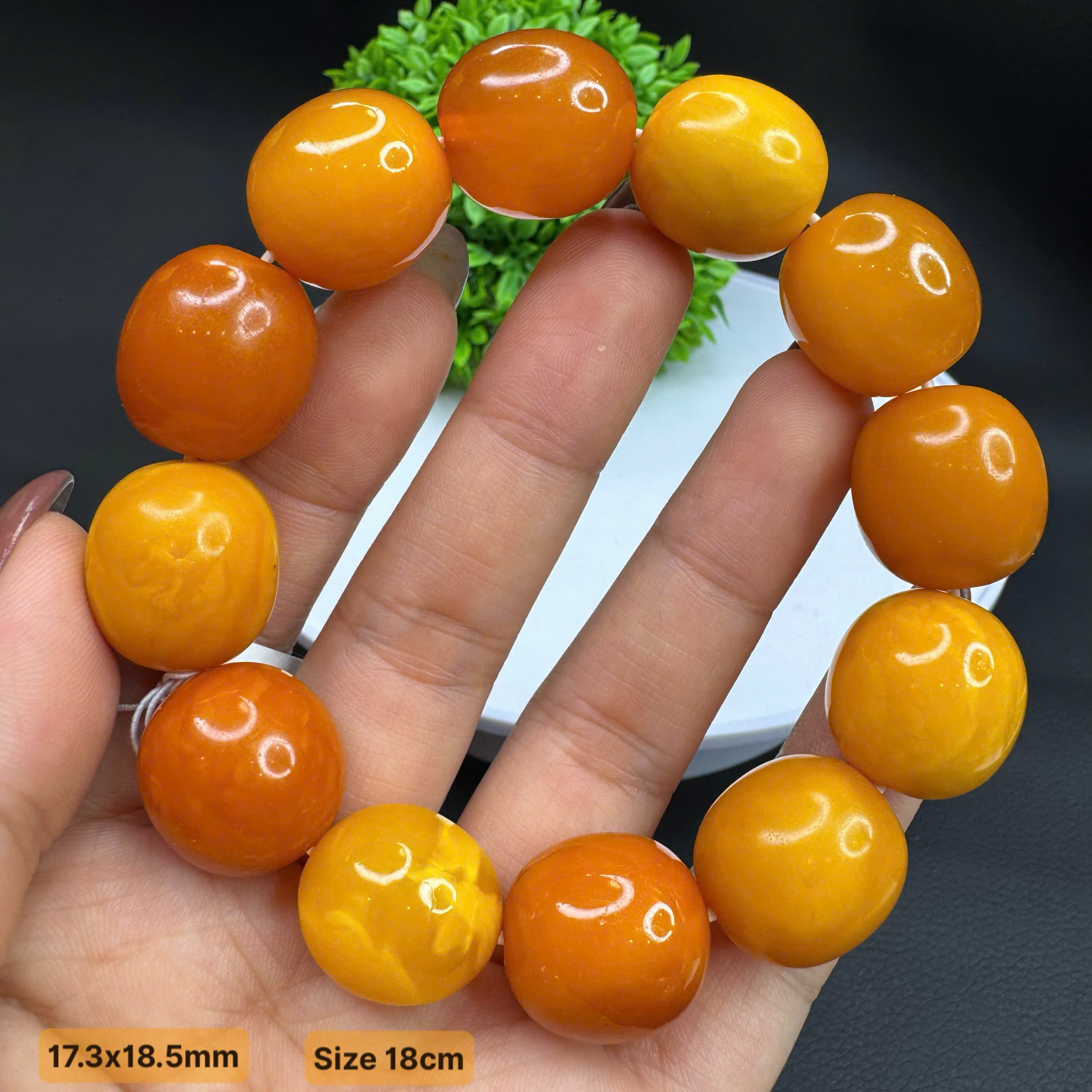 Lắc Tay Mật Lạp Cổ Siêu Hiếm - M342