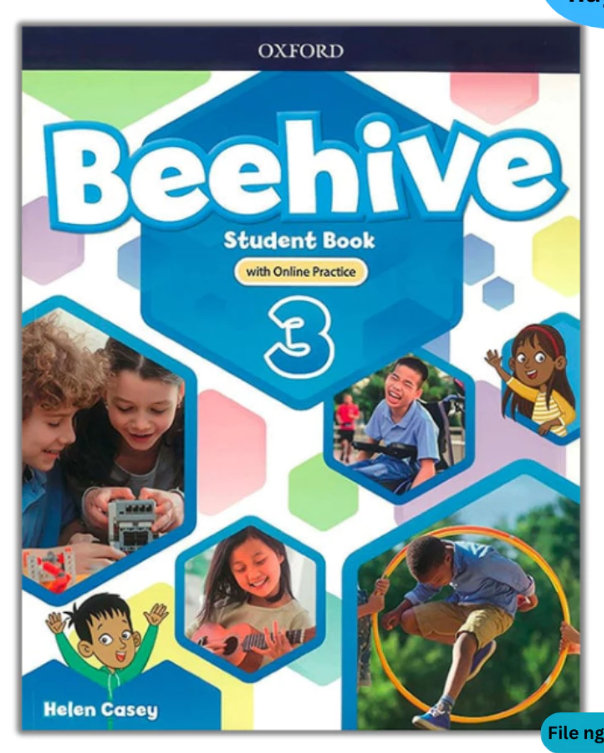 Beehive - Level 3 Studen's Book - In Màu