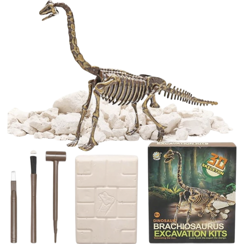 Dino Excavación_thumbnail_10