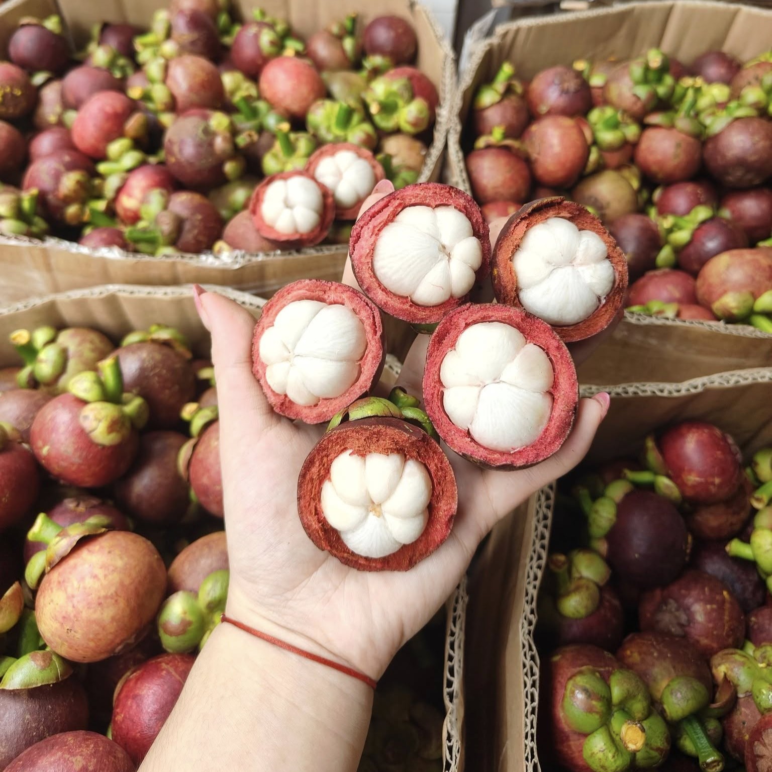 Măng Cụt Long Khánh_thumbnail_0