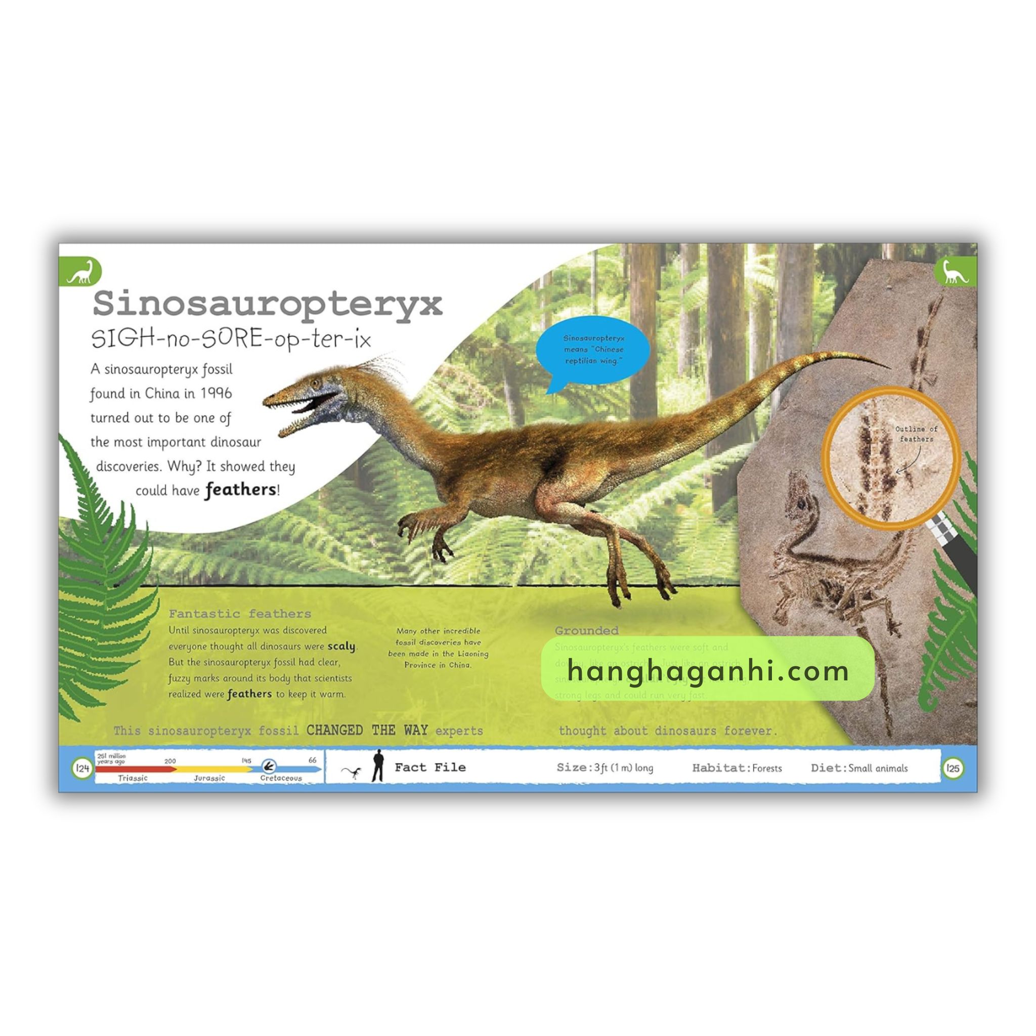Thế giới Khủng long My Encyclopedia of Very Important Dinosaurs_thumbnail_4