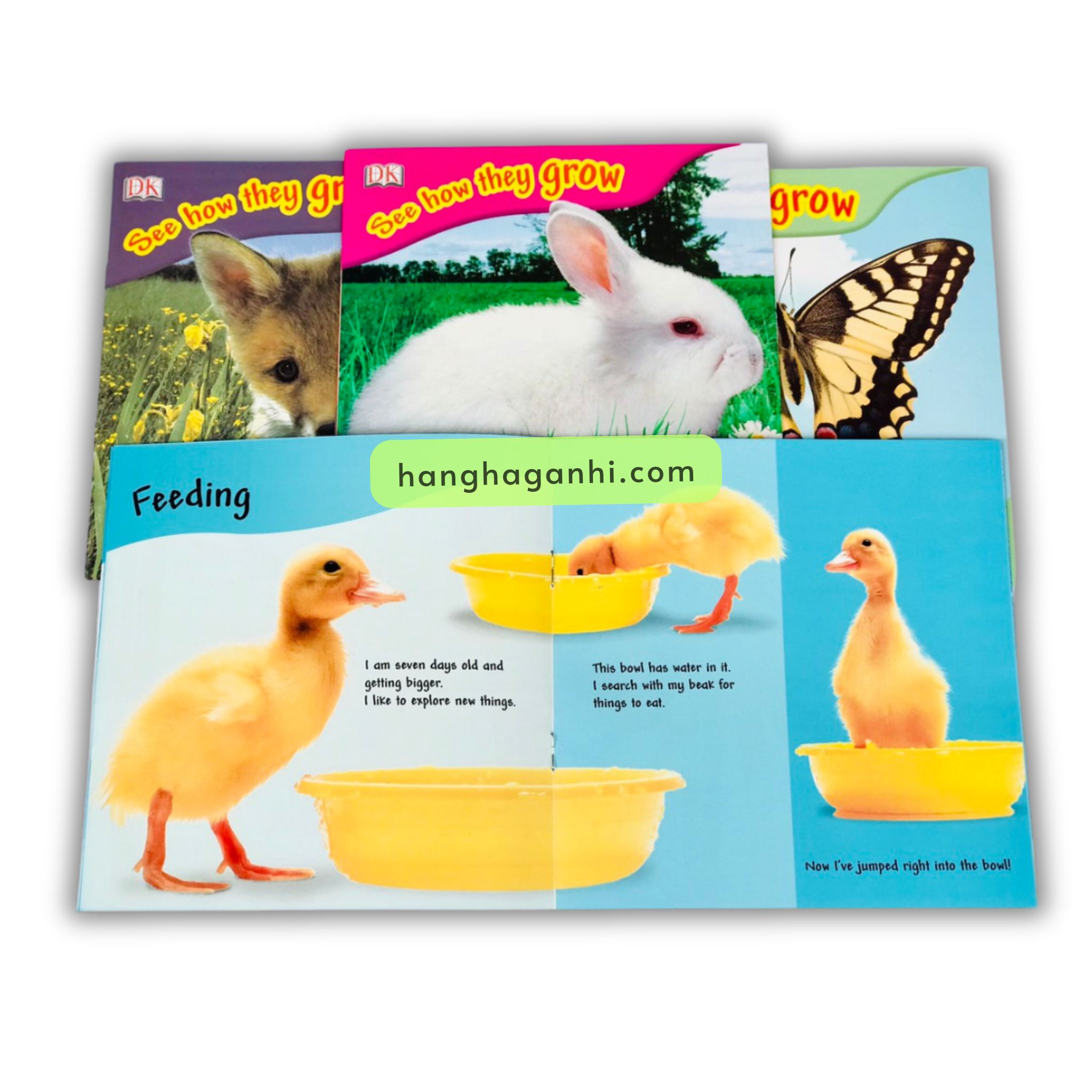 Bộ See How They Grow – Truyện về vòng đời các con vật – 14 Cuốn ( Kèm File Nghe)_thumbnail_4