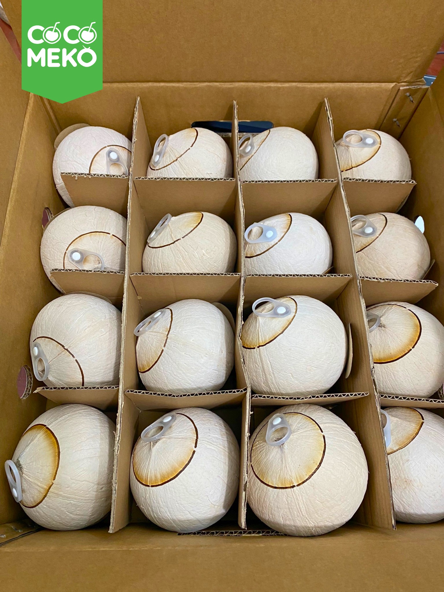 EYELET CAP COCONUT_thumbnail_4