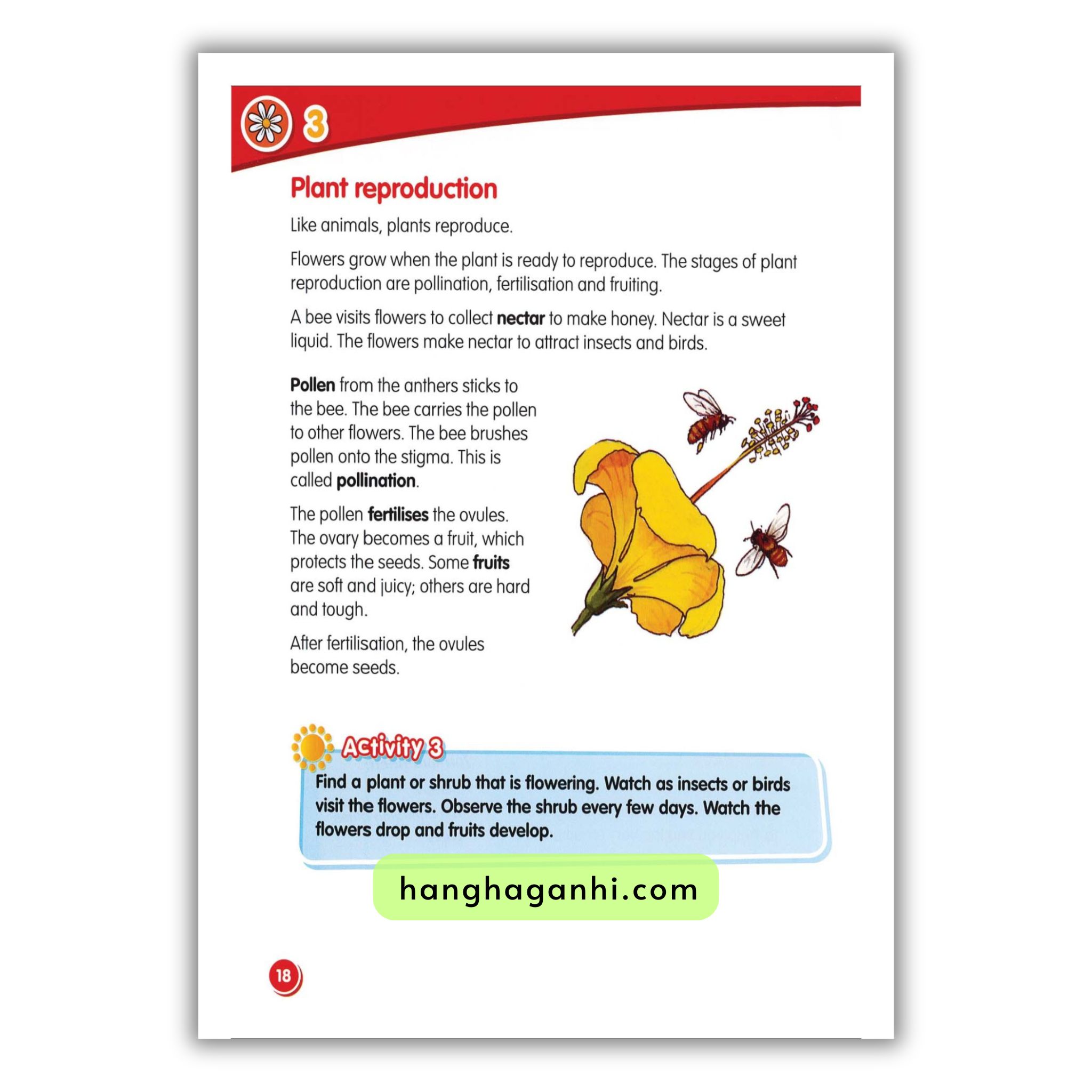 Macmillan Science 3 Pupil’s book_thumbnail_8