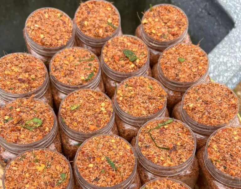 Chẩm chéo là gì? Nguyên liệu và cách làm chẩm chéo Tây Bắc