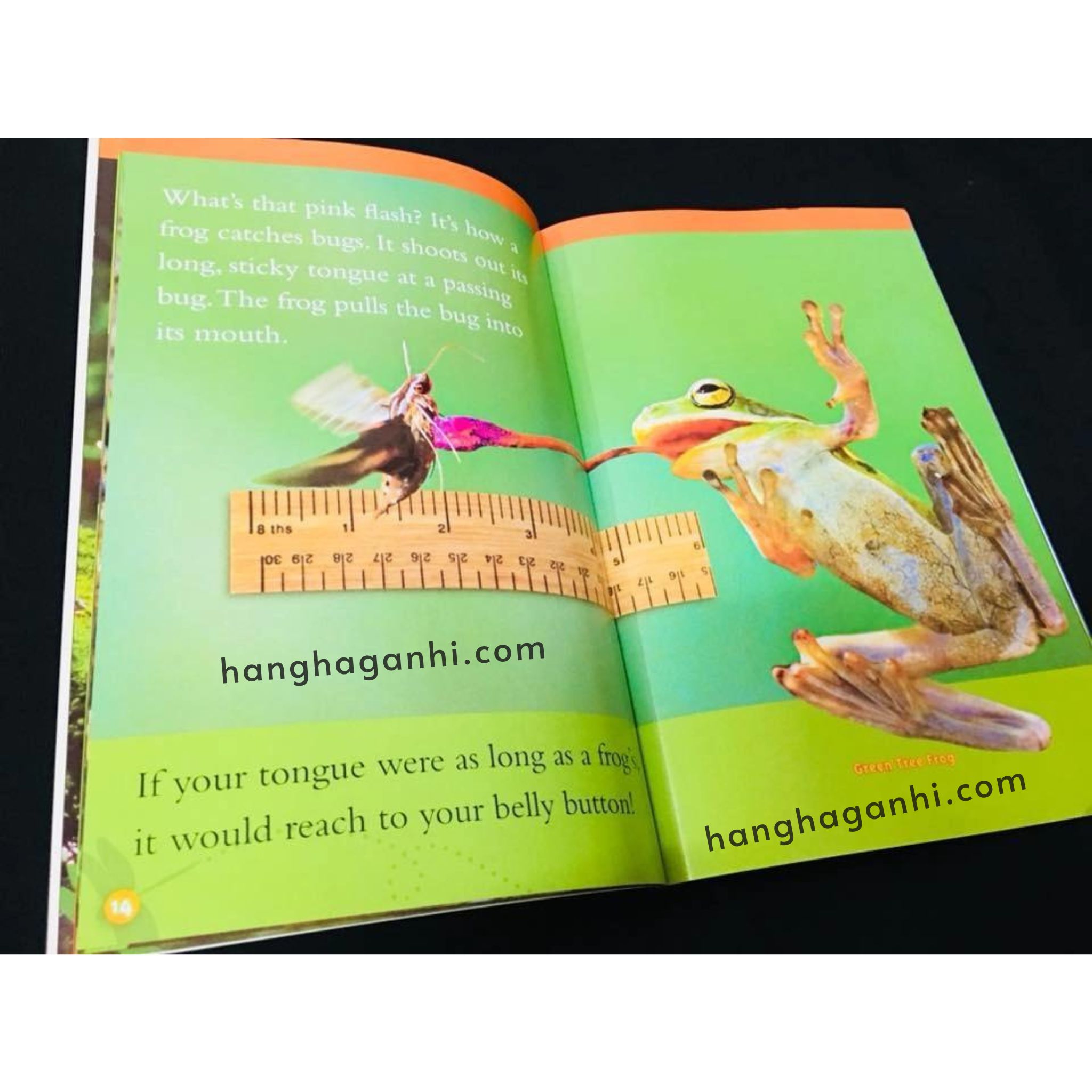 Bộ sách National Geographic Kids level 1 – 46 cuốn , kèm file nghe_thumbnail_9