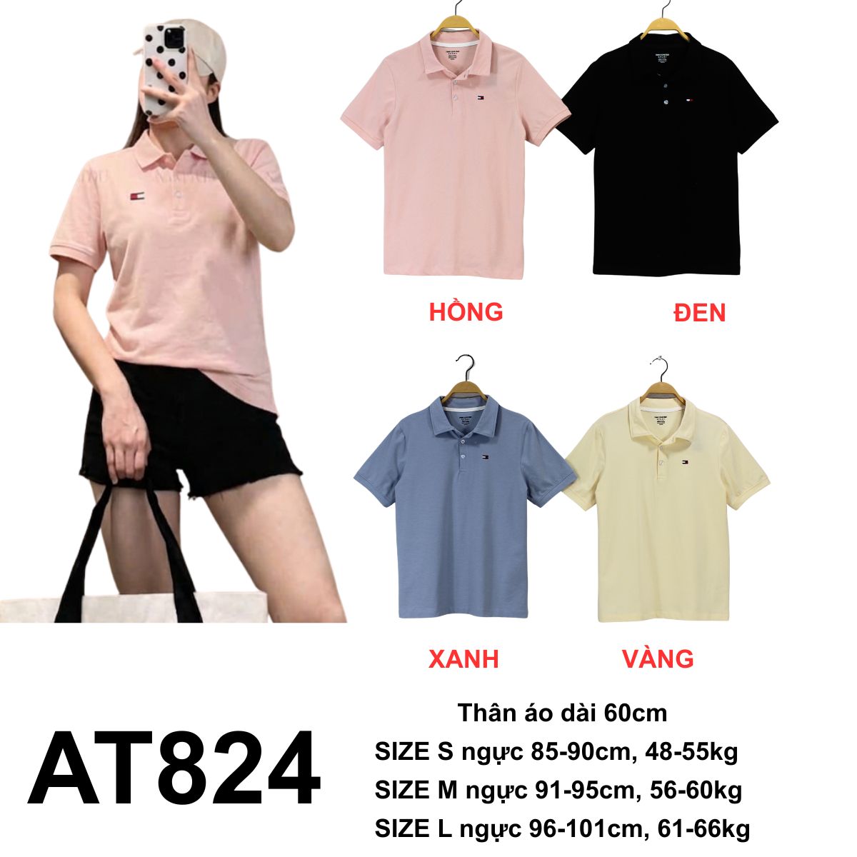 AT824 - Áo thun polo nữ