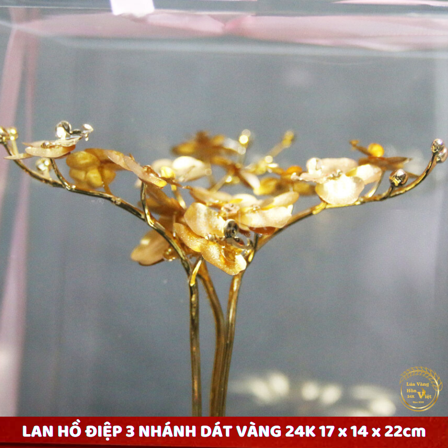 CHẬU HOA LAN HỒ ĐIỆP 3 NHÁNH DÁT VÀNG 24K 17x14x22cm_thumbnail_3