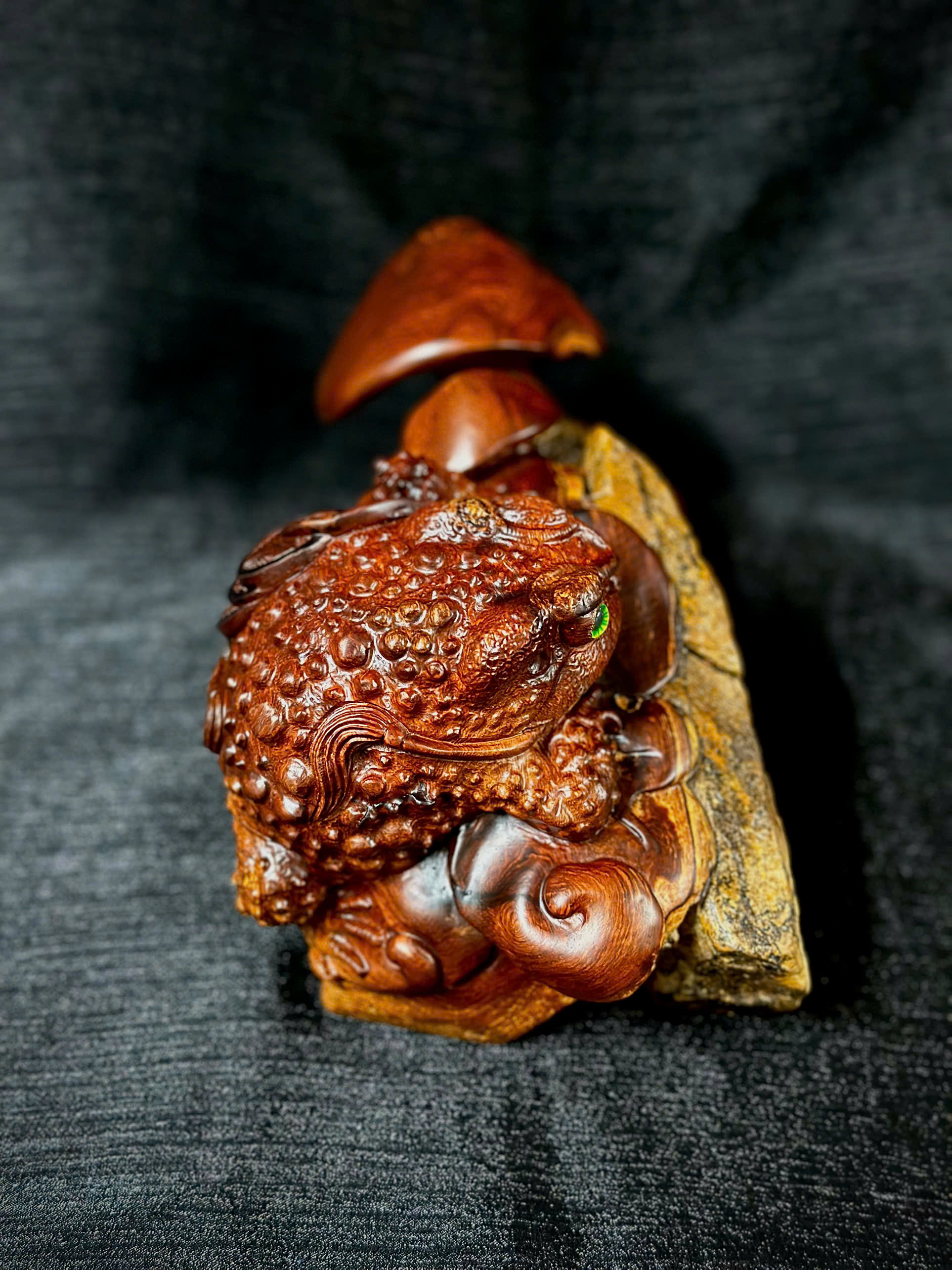 TƯỢNG CÓC TÀI LỘC - GỖ HƯƠNG ÔM ĐÁ_thumbnail_2