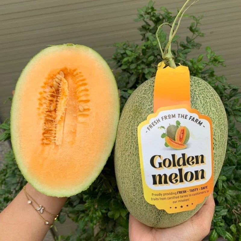 Dưa Lưới Đài Loan (Golden Melon)