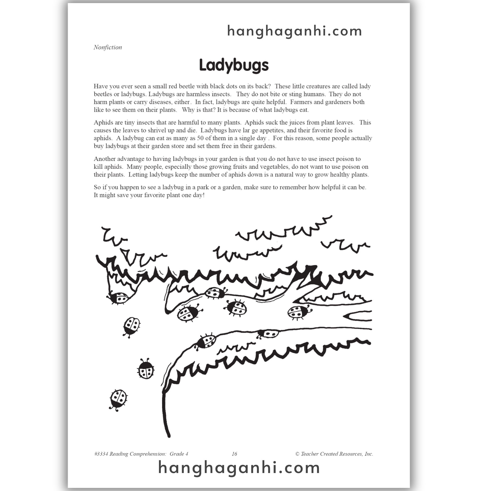Reading Comprehension Grade 4 Teacher Created Resources, sách đọc hiểu lớp 4_thumbnail_8
