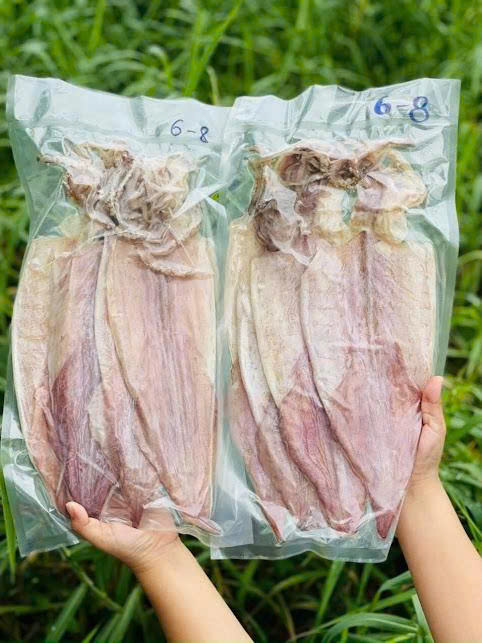 Mực ống 1 nắng Đông lạnh, Cam kết phơi sấy Tự nhiên