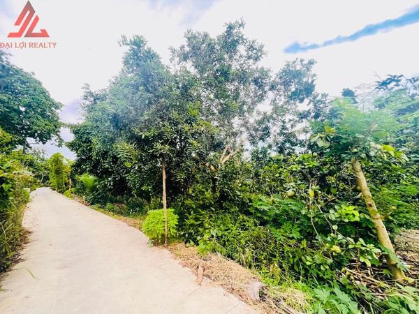 ĐN03 - Đất nền ấp 5, xã Đạo Thạnh, Tp Mỹ Tho