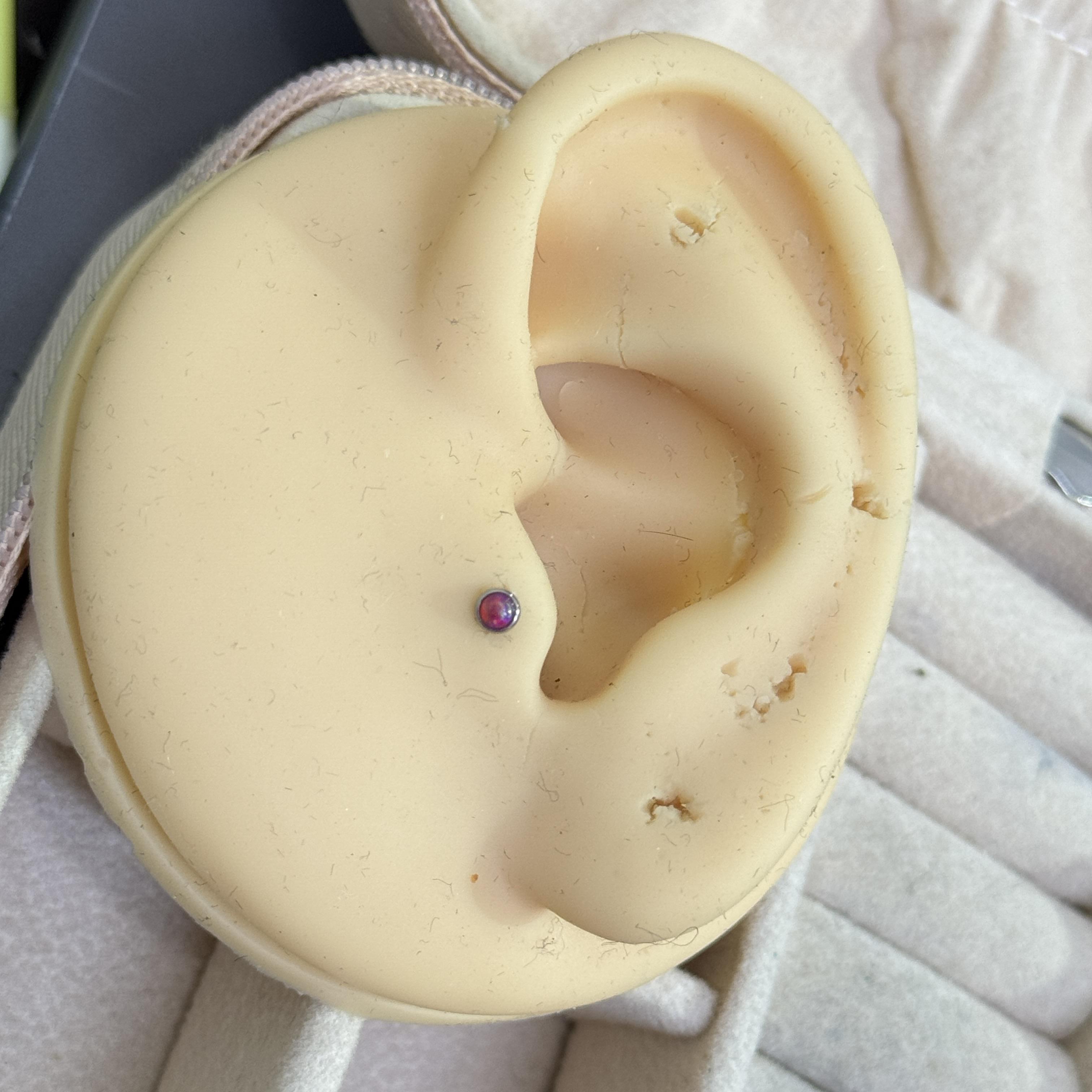 Opal đít dẹt đỏ size 3._thumbnail_3