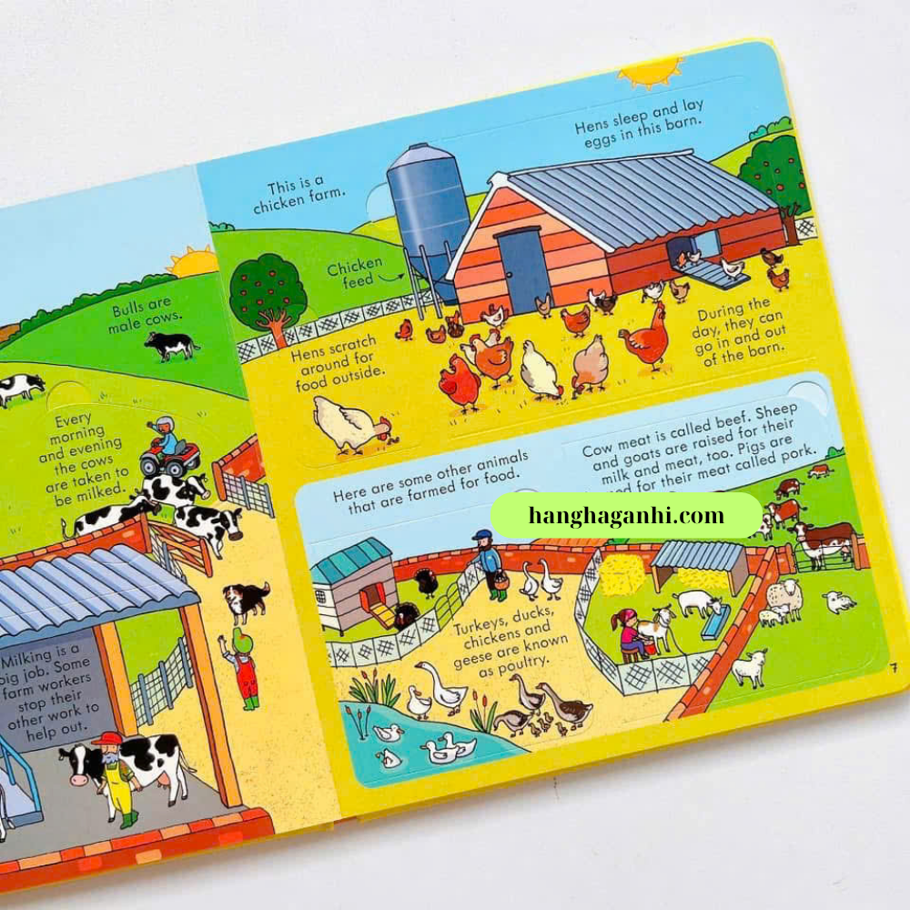 Sách lật mở Usborne Look inside Food_thumbnail_5