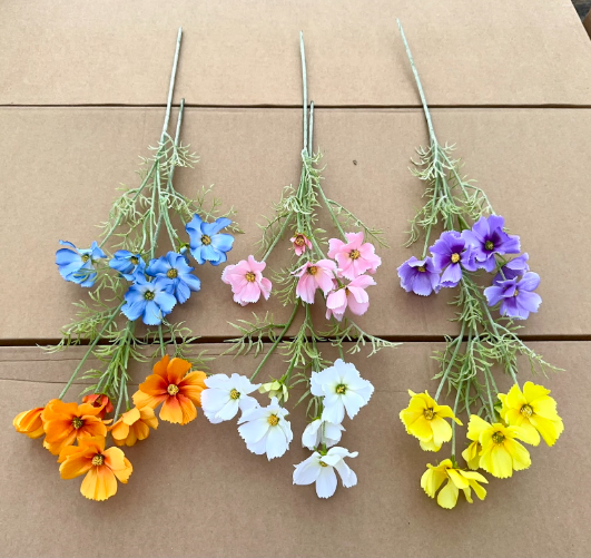   Hoa cúc bướm bé 