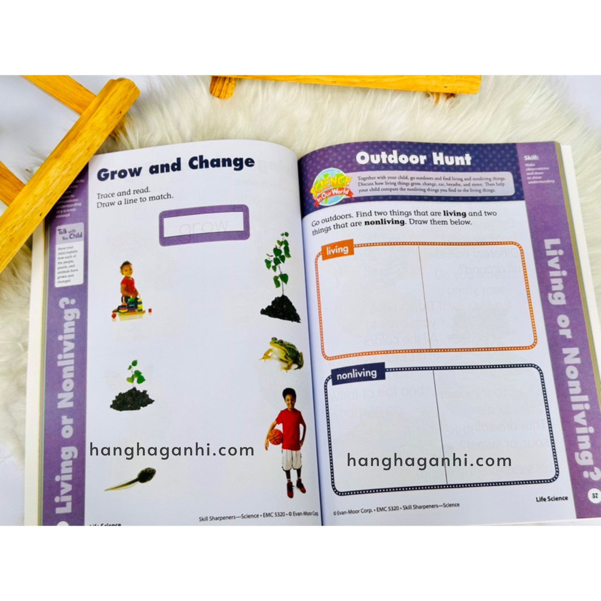 Skill Sharpeners Grade K – 8 cuốn - [Bộ sách Full]_thumbnail_9