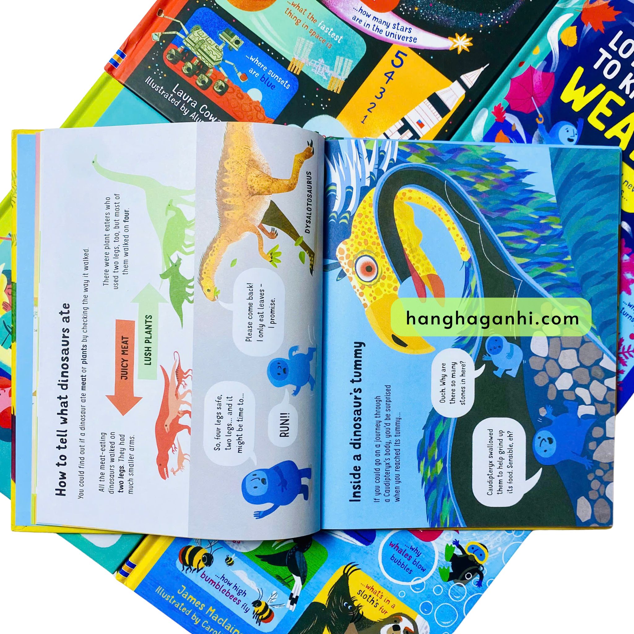 Usborne Lots of Things to Know About- Bộ 5 cuốn_thumbnail_3