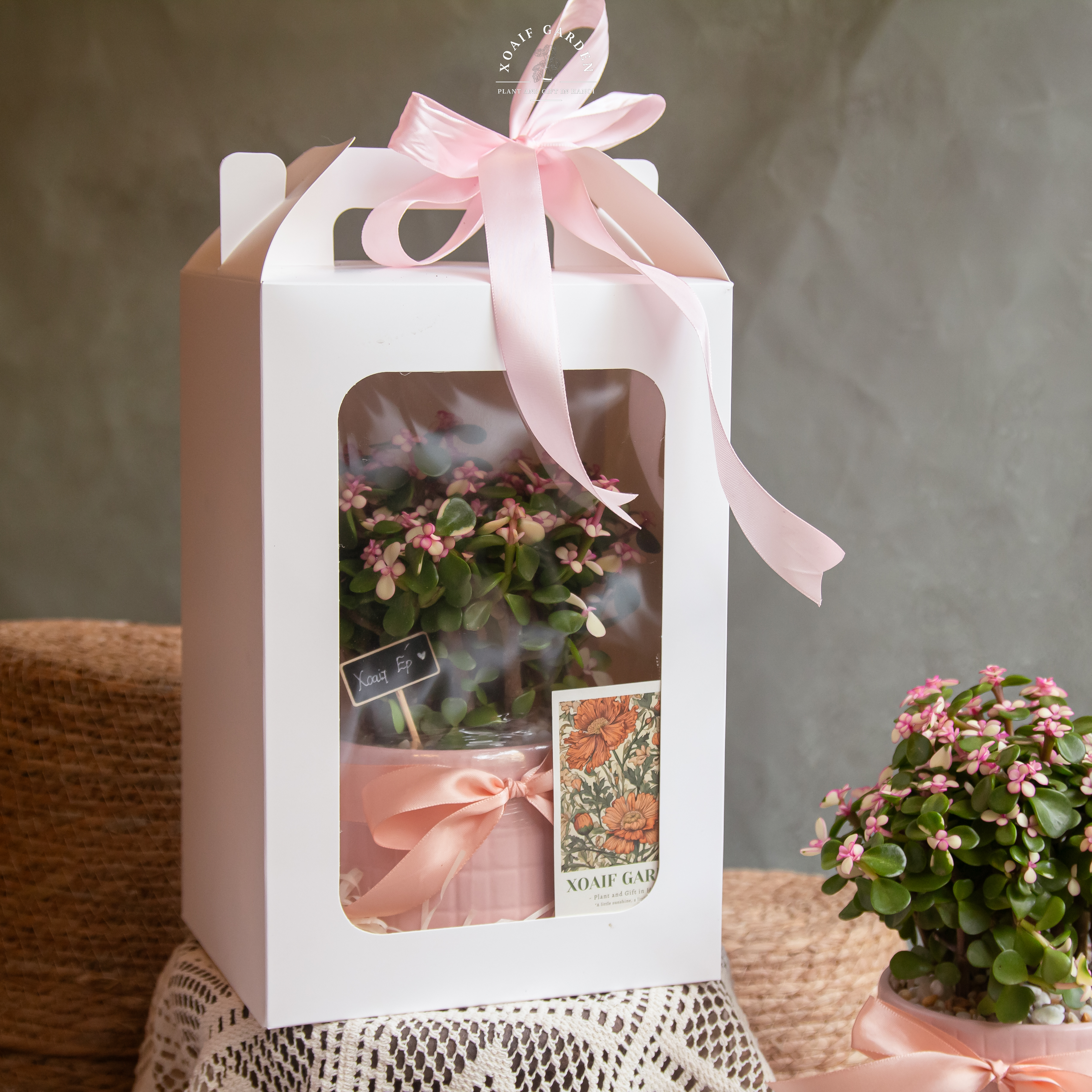 HỘP QUÀ NGỌC BÍCH HỒNG_thumbnail_3