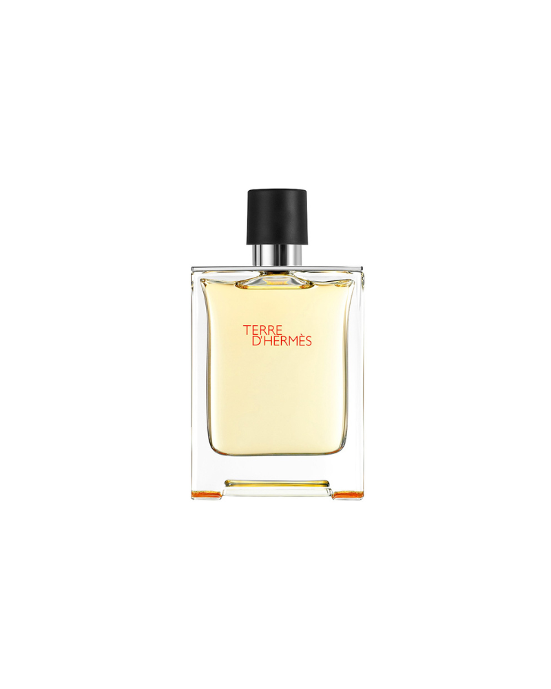 Hermes Terre EDT 100ml