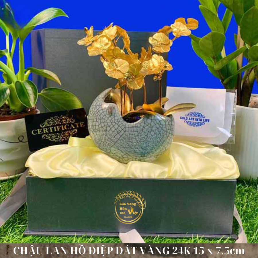 CHẬU LAN HỒ ĐIỆP DÁT VÀNG 24K 15x8cm_thumbnail_2
