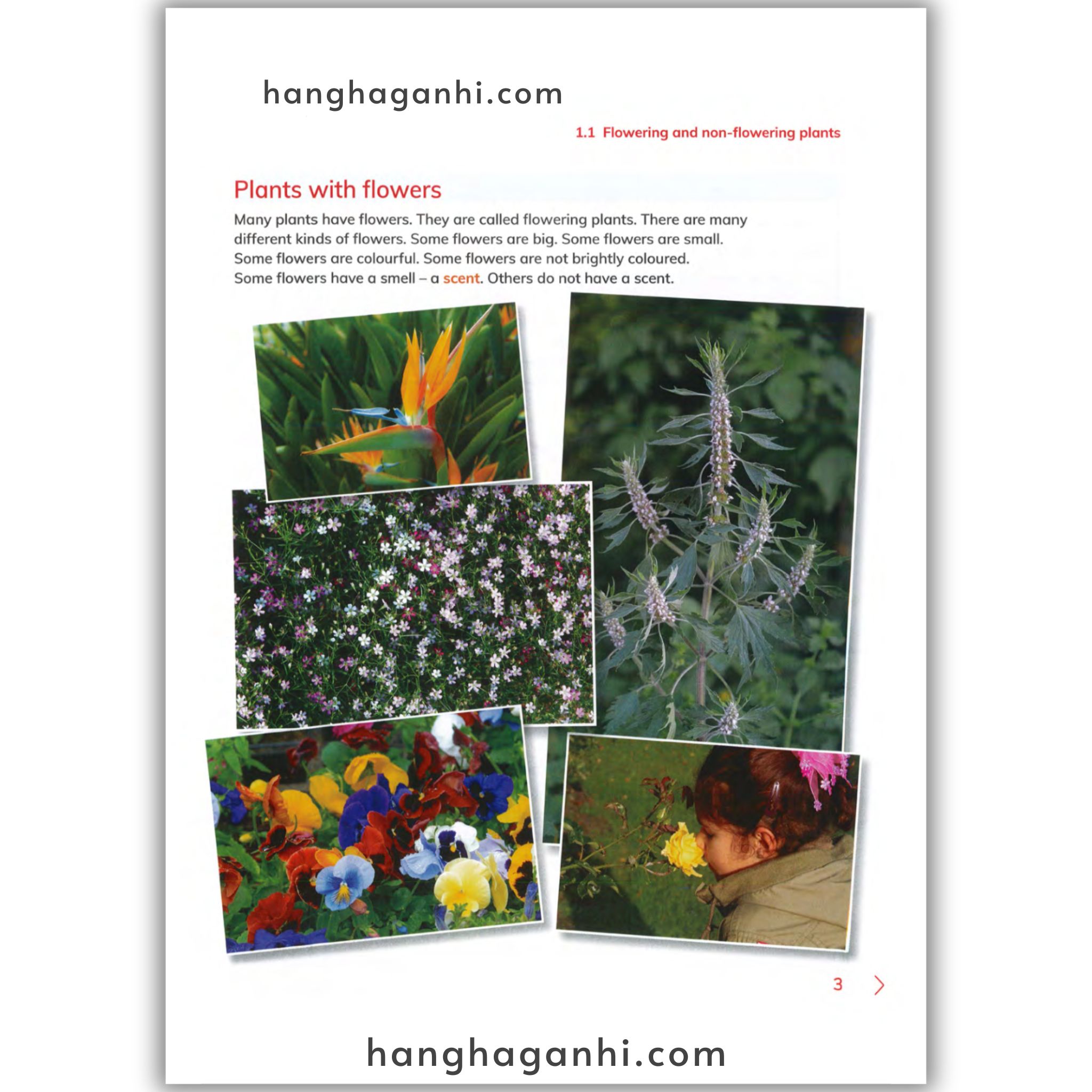 Cambridge Level 5 Primary Science Learner’s Book 2nd edition 2021_thumbnail_5