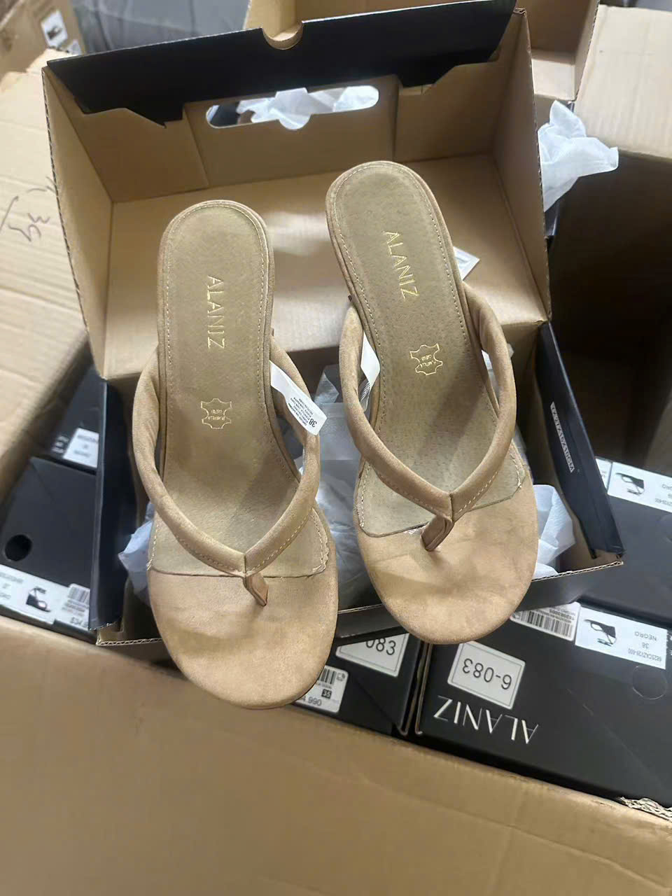 GUOC ALANIZ_thumbnail_2